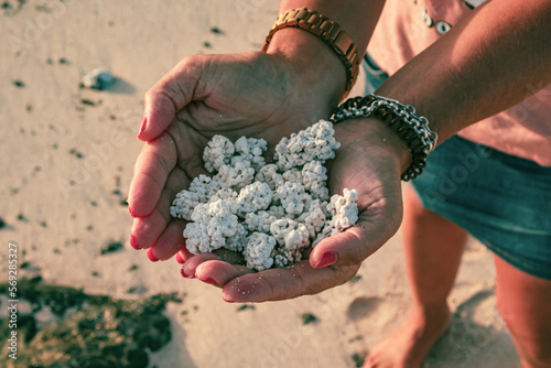 popcorn grain sand beach in Fuerteventura