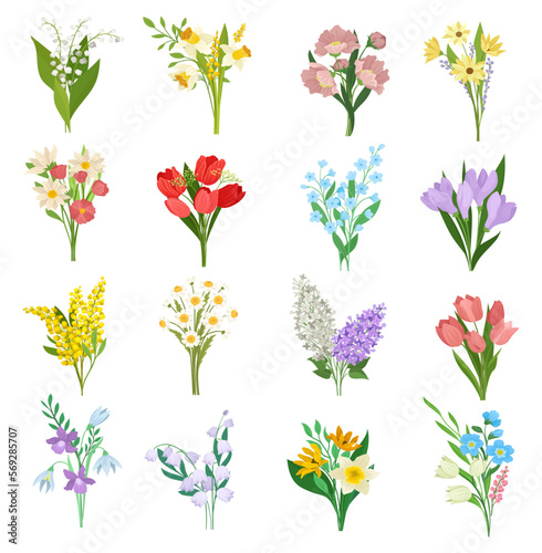 Set of spring wild and garden flowers. Crocus, tulip, mimosa, lily of the valley, lilac and daffodil cartoon vector illustration