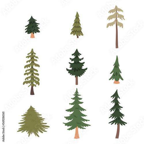 Forest pine trees set. Vector illustration © yekaterinalim
