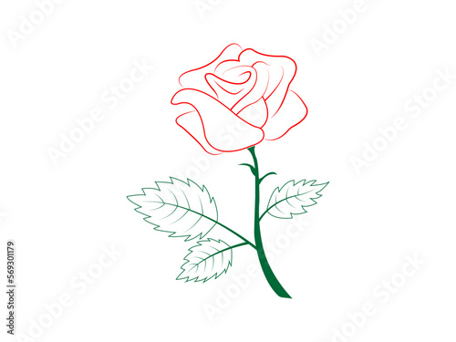 Natural rose vector design and illustration.