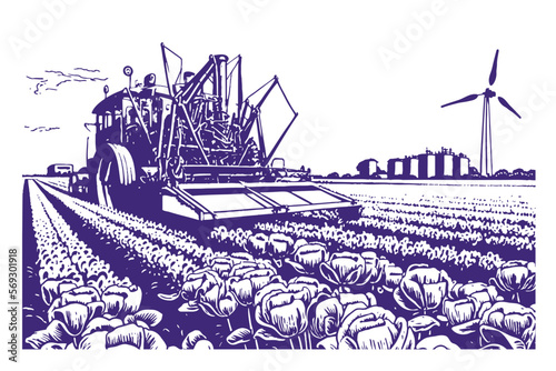 Tulip Valley and flower harvester, monochrome retro style. Vector flowers field harvest illustration with tulip fields landscape and tractor.