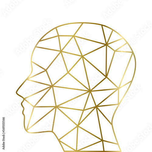 Golden lines inside human head