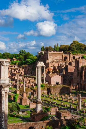 Photography Roman Forum and Palatine Hill anciet ruins