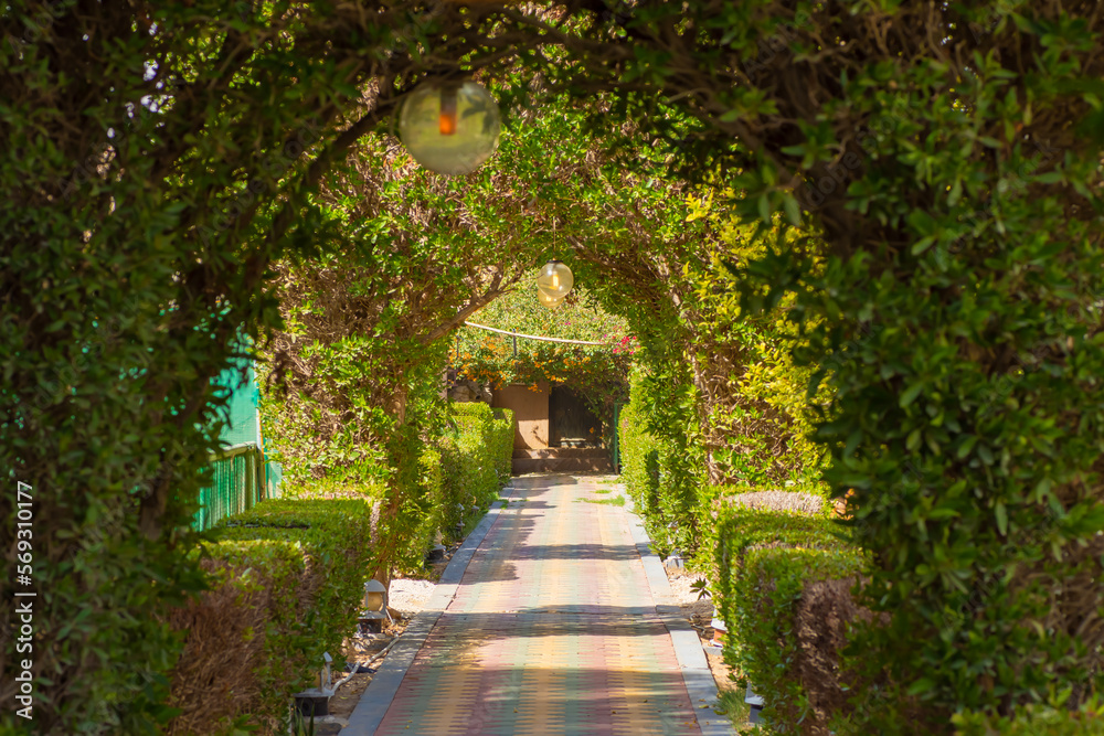 Closeup to the garden green gates from the trees 