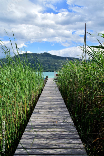Der Holzsteg führt mitten durch das grüne Schilf zum türkisfarbenen Wörthersee
