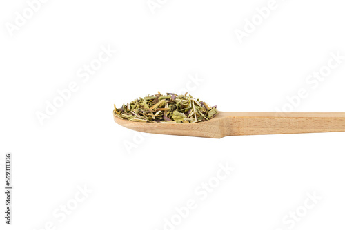 Catnip herb in latin - Nepeta cataria on wooden spoon isolated on white background. Medicinal herb.