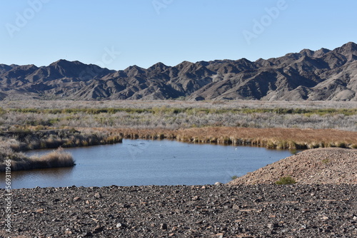 Clear Day at Imperial Wildlife Refuge in Arizona