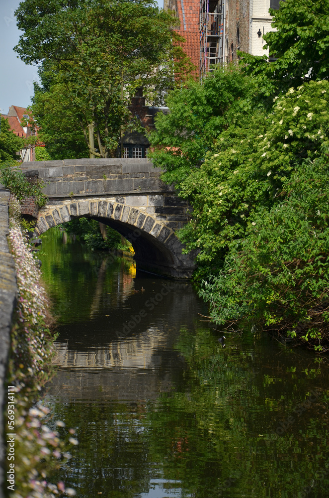 Fototapeta premium Stone bridge on a canal in Bruges