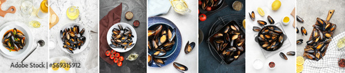 Collage of tasty mussels on table, top view