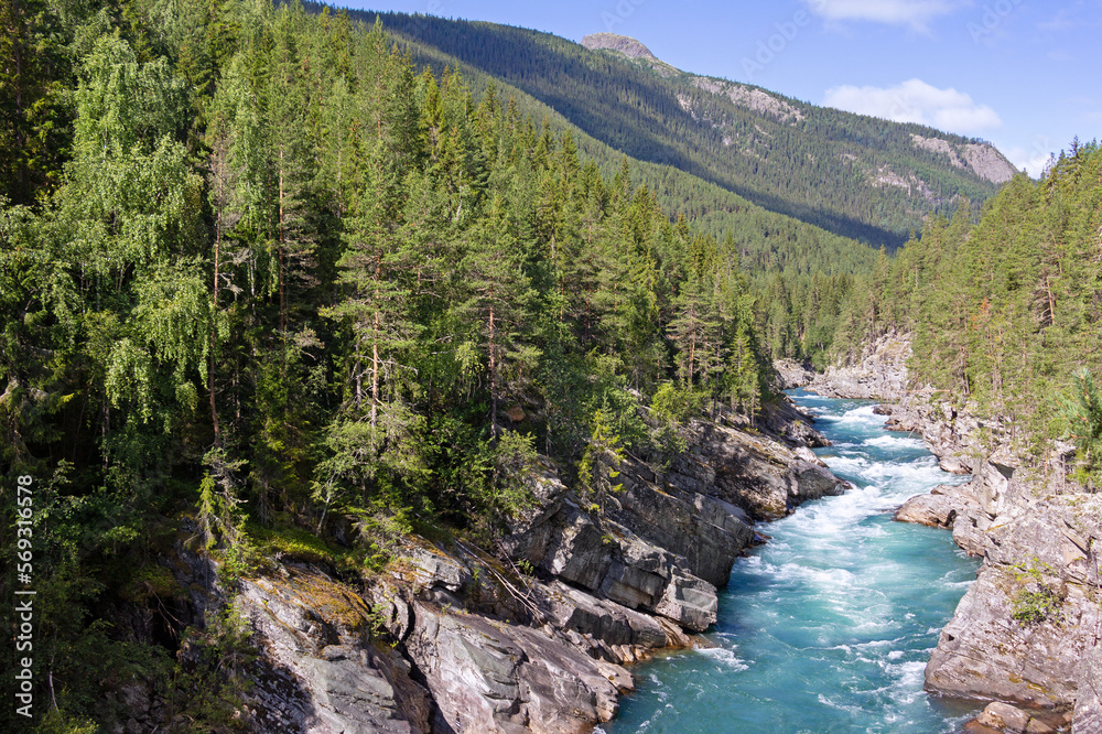 Idyllic landscape with mountain river
