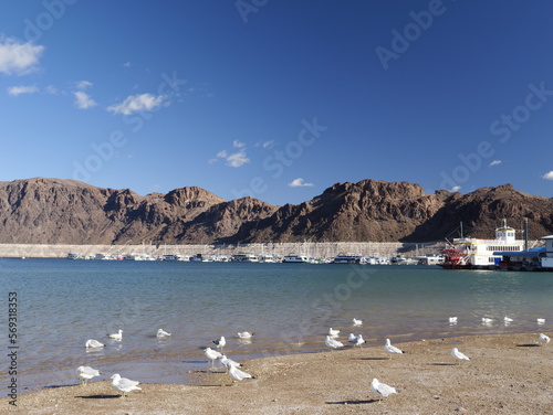 Canvas Print Lake Mead area marina