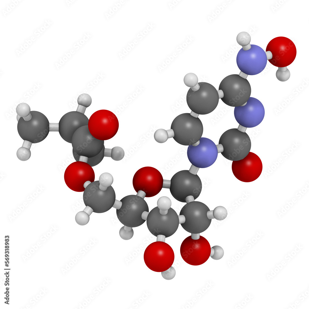 Molnupiravir antiviral drug molecule. 3D rendering. Molnupiravir antiviral drug molecule. 3D rendering.