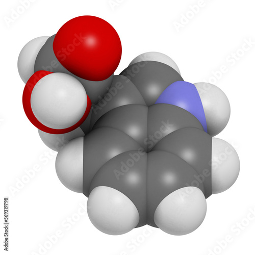 indole-3-propionic acid or IPA molecule. 3D rendering. photo