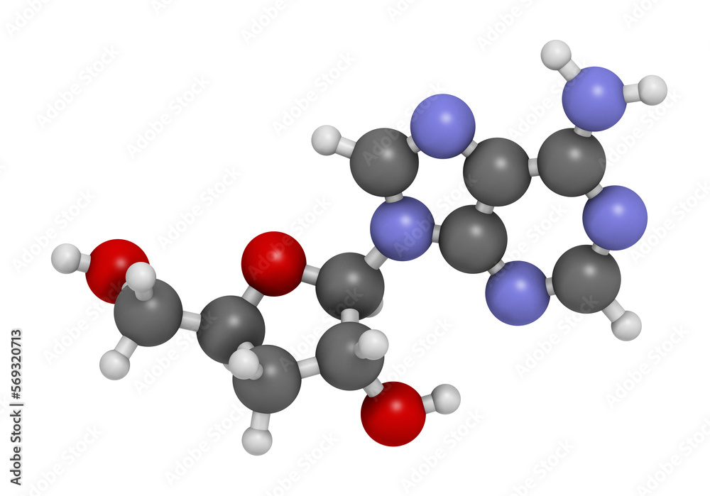 Cordycepin molecule. 3D rendering.