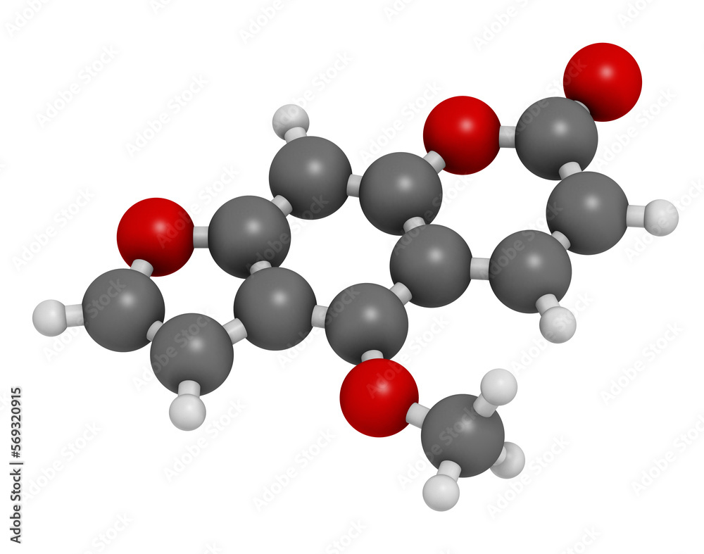 Bergapten or 5-methoxypsoralen molecule. Photosensitizer present in several plants, responsible for causing phytophotodermatitis. 3D rendering. Bergapten or 5-methoxypsoralen molecule. Photosensitizer present in several plants, responsible for causing phytophotodermatitis. 3D rendering.