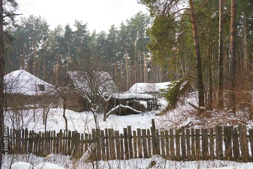 A fenced farmhouse with snow-covered outbuildings in a beautiful winter pine forest. © ROMAN DZIUBALO