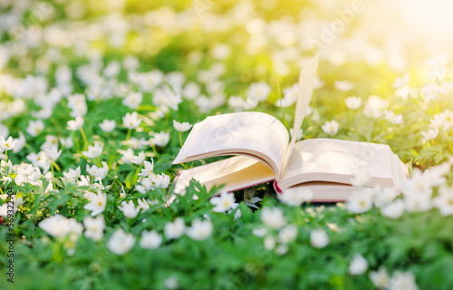 Fototapeta Naklejka Na Ścianę i Meble -  Open book lying on the blossoming field in natural park.