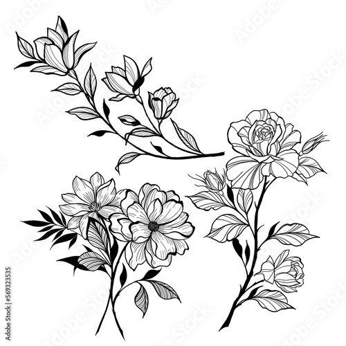 Big set Beautiful sketch of a tattoo - a delicate twig with flowers . Flowers...