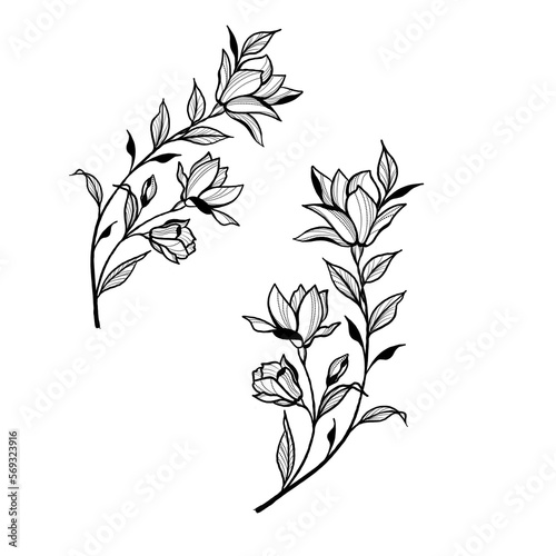 Beautiful sketch of a tattoo - a delicate twig with flowers . Flowers Periwin...