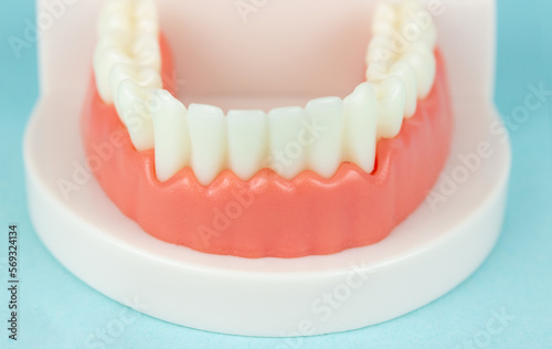 Dental prosthesis on blue background  close-up. Old age. Teeth. Jaw. Close-Up Of Dentures Against Blue Background. Denture picture with focus on teeth on blue background.
