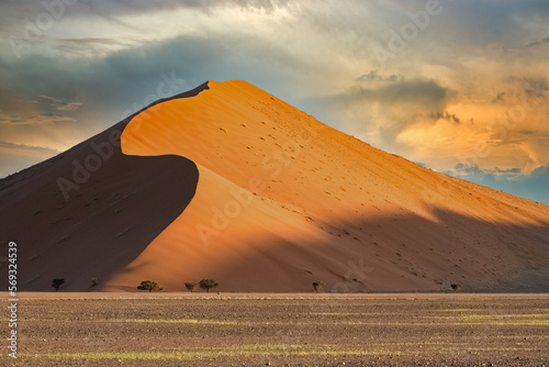 Namibia, the Namib desert, graphic landscape of yellow dunes, background 