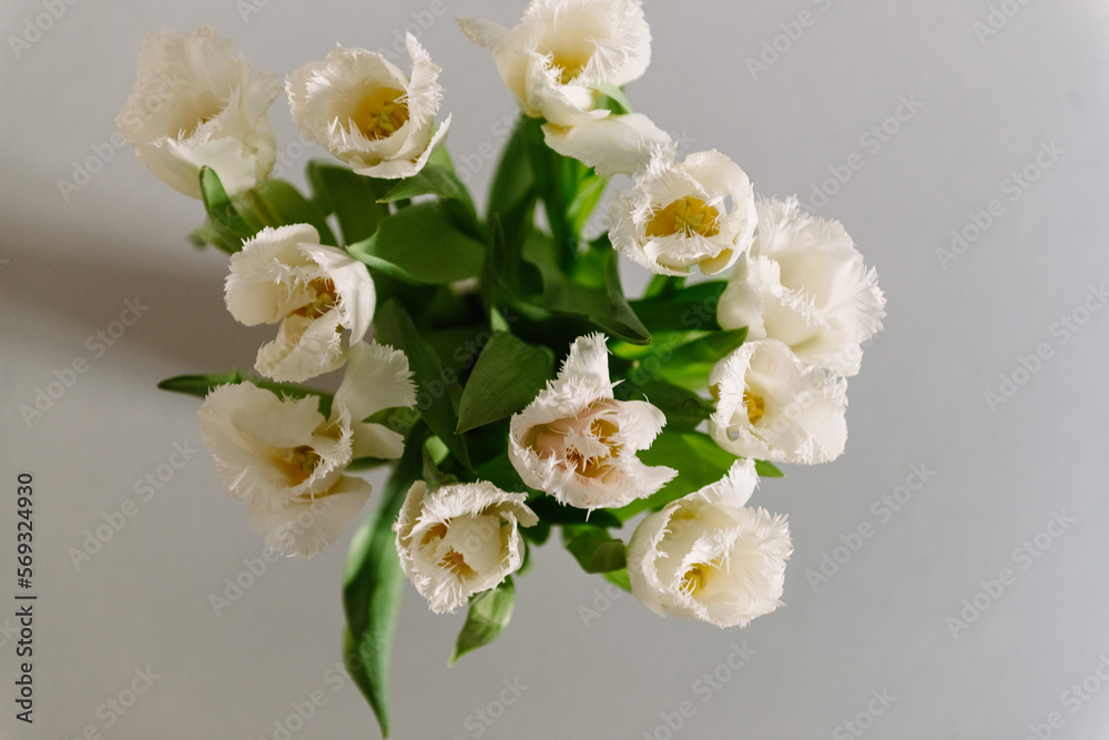 Fresh spring tulips bouquet top view, white beautiful color