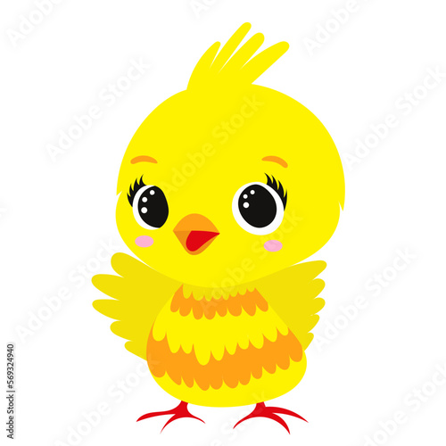 cute chicken cartoon on white background