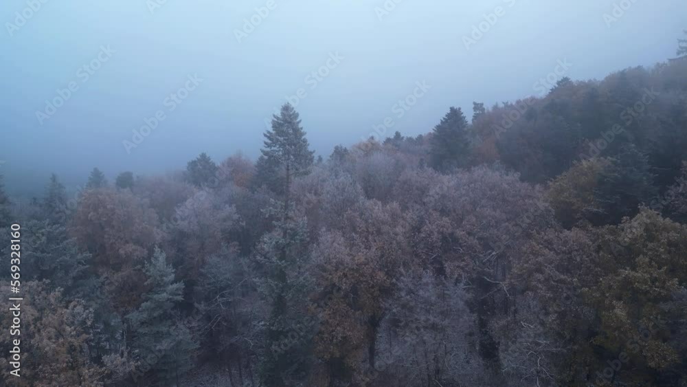 Vue aérienne de ruines noyées dans un brouillard épais en plein hiver Vue aérienne de ruines noyées dans un brouillard épais en plein hiver