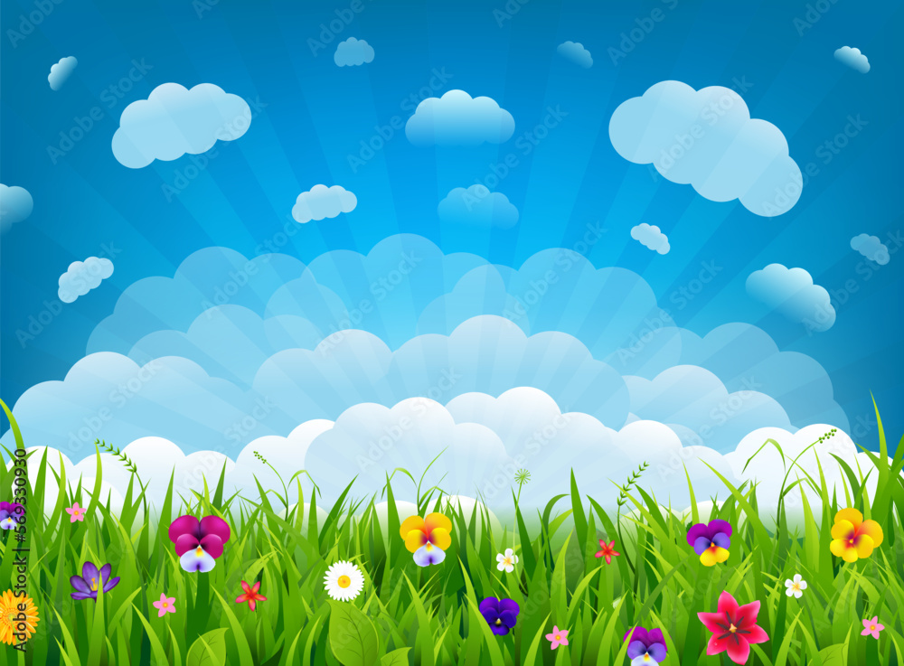 Fototapeta premium grass and flowers