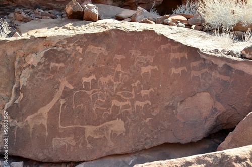 Stone carving of animals at Twyfelfontain, Namibia photo