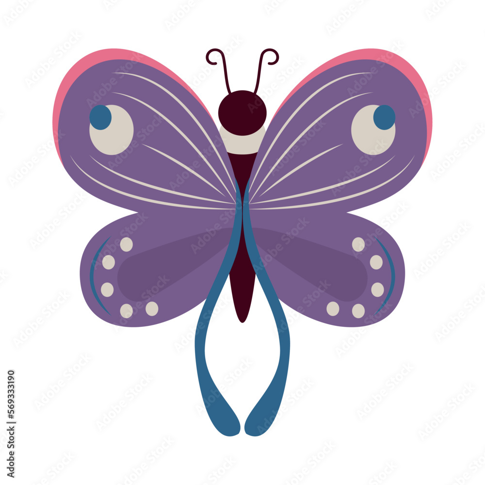 beauty purple butterfly insect