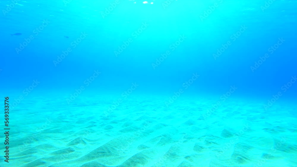 Explorer Holding Sand Over Ocean Floor While Swimming In Sea During Vacation - Oahu, Hawaii Explorer Holding Sand Over Ocean Floor While Swimming In Sea During Vacation - Oahu, Hawaii