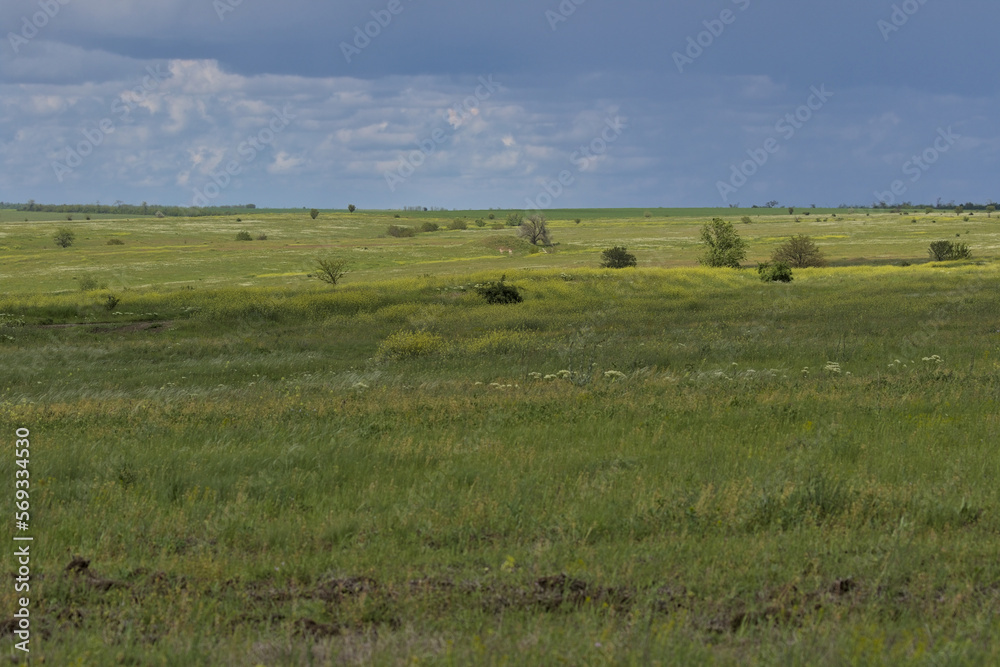 Endless expanses of the spring steppe.