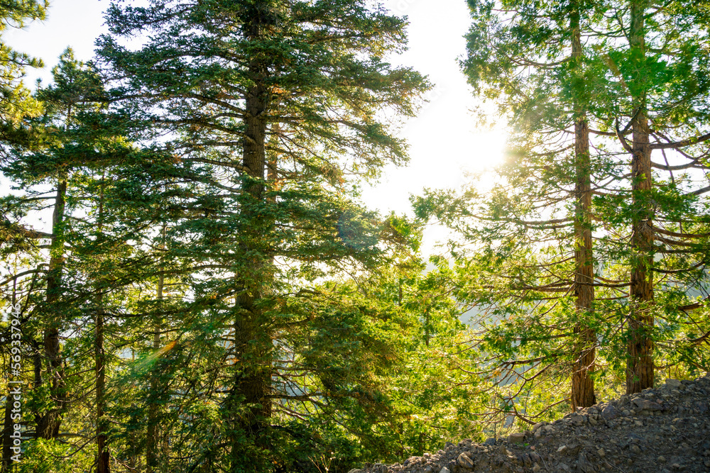 Obraz premium Nature Santa Rosa Mountains