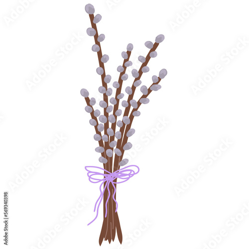 Spring willow seals on white background.Blooming willow twigs illustration in flat style,Easter decor. Bouquet with pussy tree buds. Willow branch for greeting cards, poster,banner