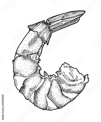 image of a shrimp tail, for the design of kitchen items, menu