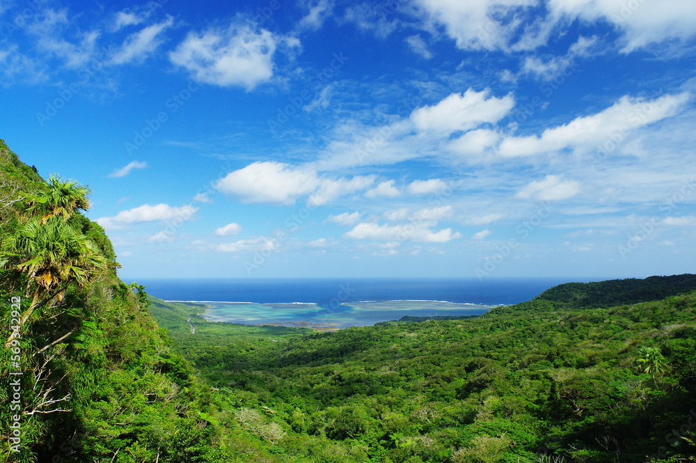 沖縄県西表島ユツンの滝上からの景色
