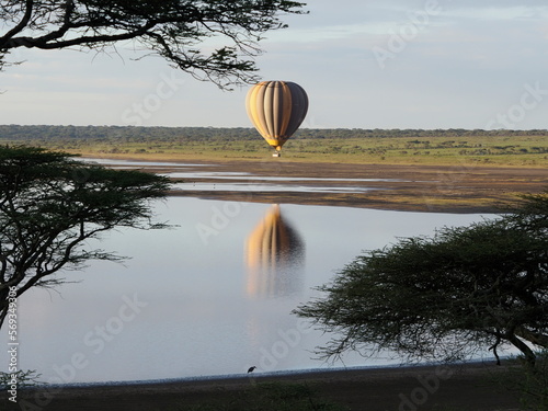 Hot air balloon in the serengeti