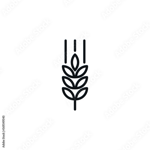 Vector Outline Farm Wheat Ears Icon. Whole Grain Line Symbol Illustration for Organic Eco Business, Farming, Beer, Bakery. Gluten Free Logo.