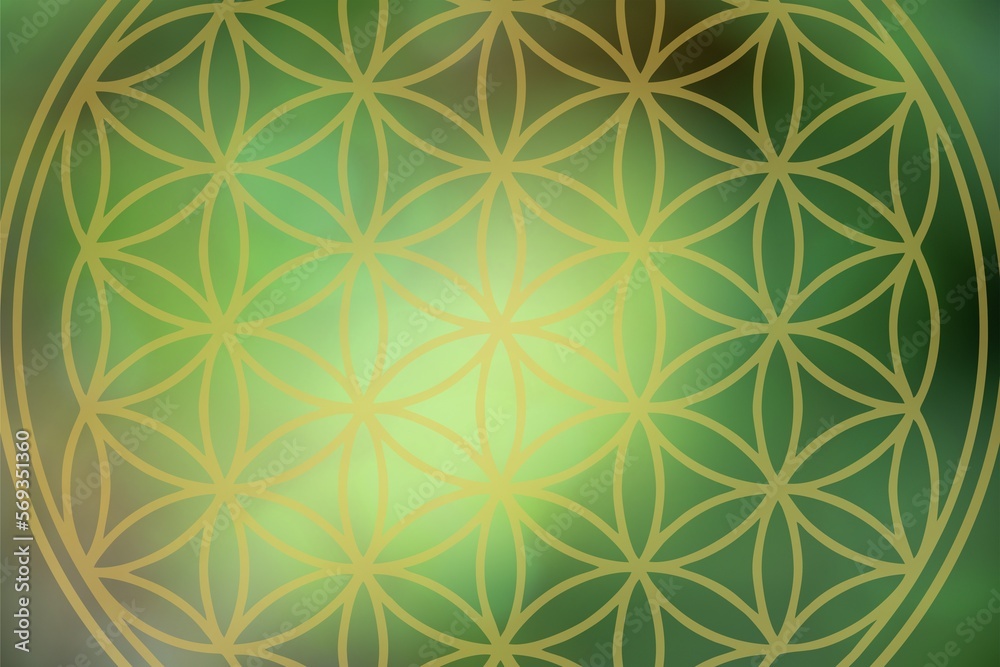 flower of life on atmospheric background flower of life on atmospheric background