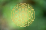 flower of life on atmospheric background