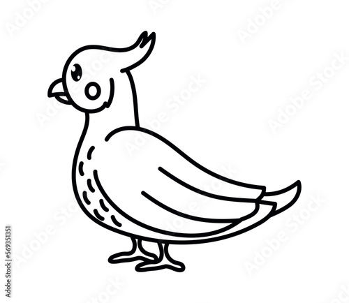 bird animal coloring