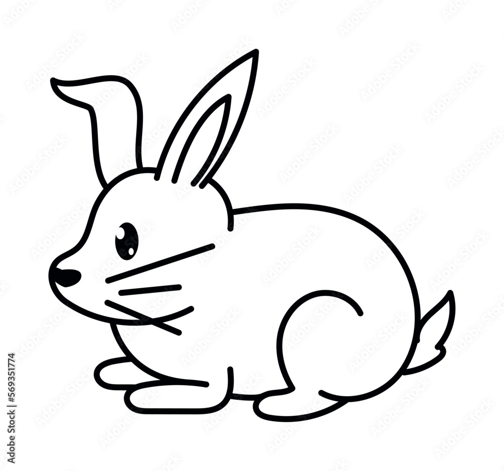 rabbit animal coloring