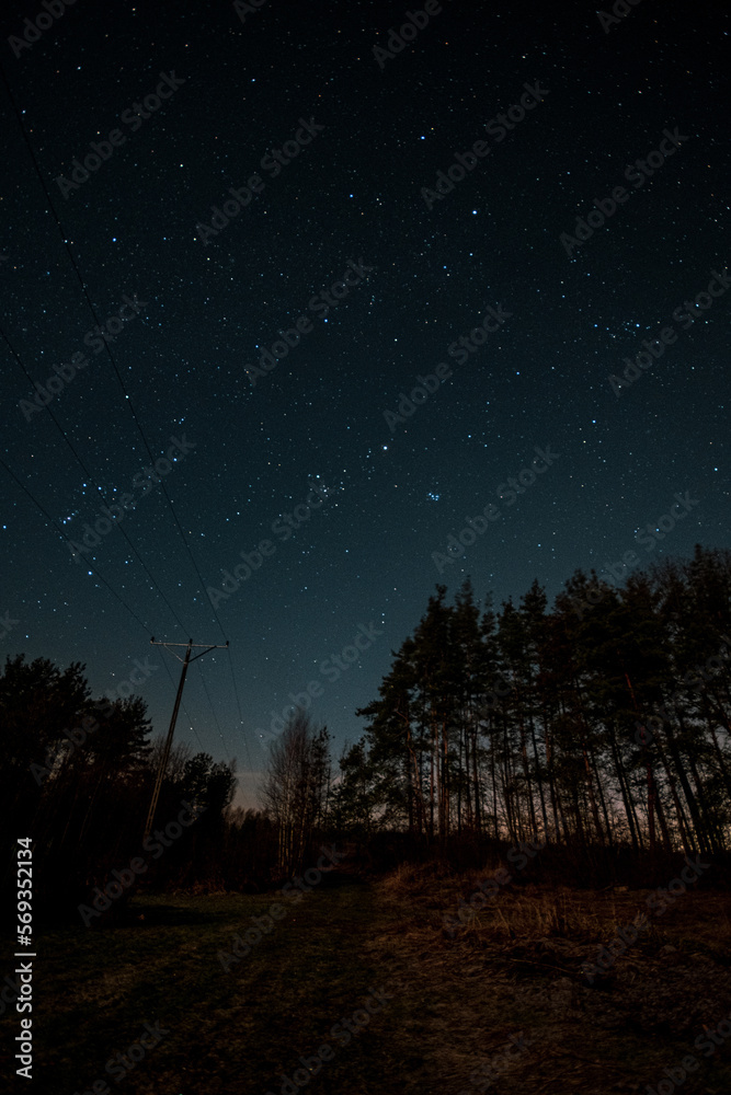 Starry sky, the edge of a pine forest, morning light makes its way through the trees Starry sky, the edge of a pine forest, morning light makes its way through the trees