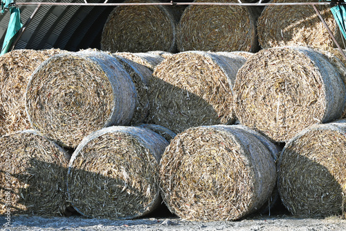 Round Bales in Open Quonset photo