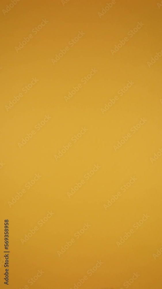 vertical video of young latin woman, cheerful appearing on the scene and then she hides herself vertical video of young latin woman, cheerful appearing on the scene and then she hides herself