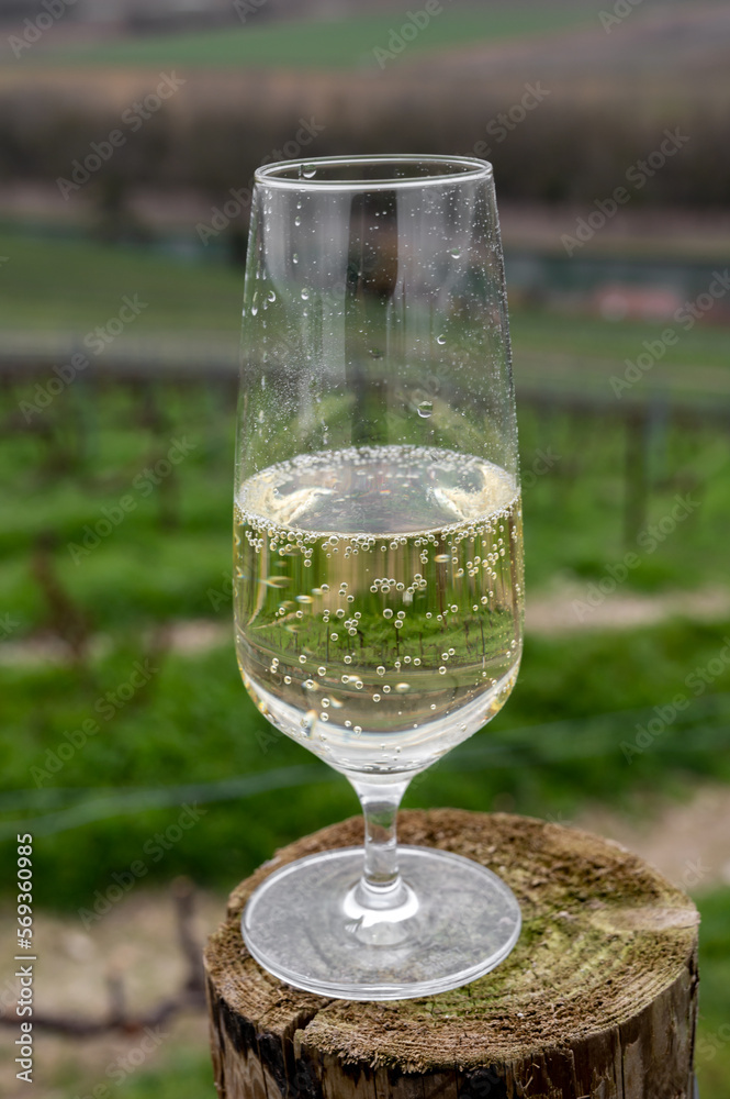 Tasting of brut champagne sparkling wine with view on hilly pinot noir gran cru vineyards of famous champagne houses near Ay and Marne river in winter, Champagne, France Tasting of brut champagne sparkling wine with view on hilly pinot noir gran cru vineyards of famous champagne houses near Ay and Marne river in winter, Champagne, France