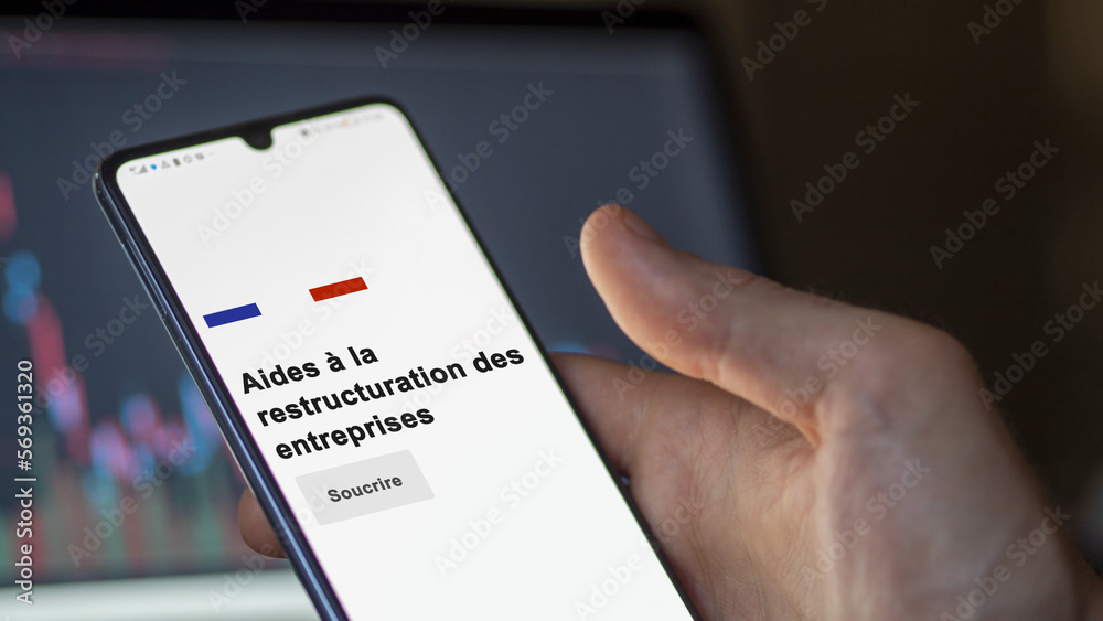 An entrepreneur subscribing to the Business restructuring aid on your phone. Text in French. An entrepreneur subscribing to the Business restructuring aid on your phone. Text in French.