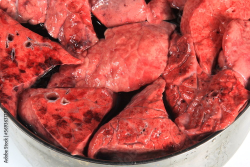 Fresh animal lungs in a metal pot, close-up