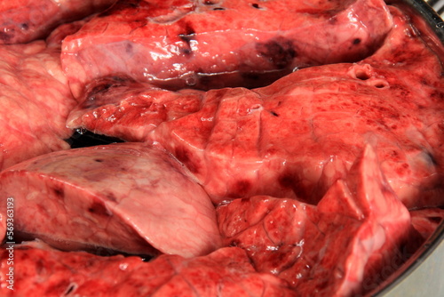 Fresh animal lungs in a metal pot, close-up